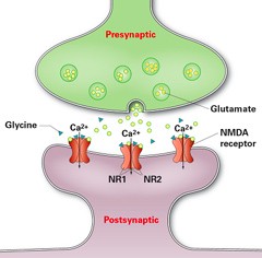 New treatment for Anti-NMDA receptor encephalitis