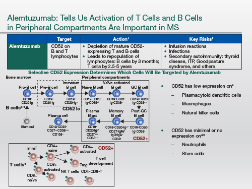 slide8