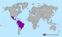 Countries and territories with active Zika virus transmission